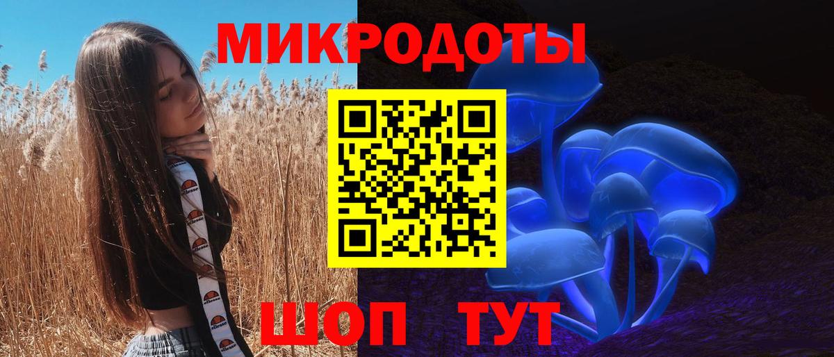 Галлюциногенные грибы MAGIC MUSHROOMS Камышлов